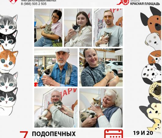 Спешим поделиться итогами выставки в Мегацентре 